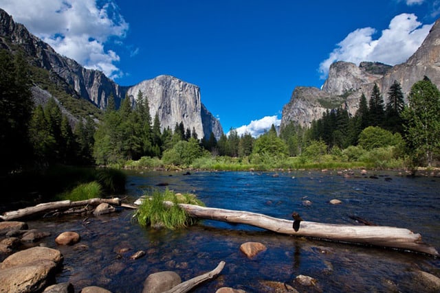 Dispersed Camping Near Yosemite National Park